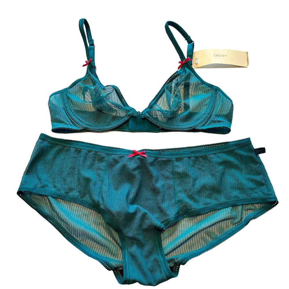 DKNY Women’s NWT Y2K Teal Mesh Bra & Panty Set SZ 36B & L